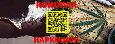 прущие грибы Конаково