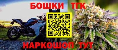 дурь Кингисепп